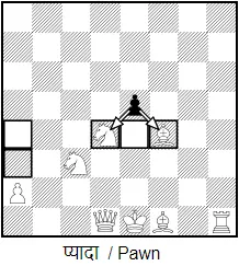 चैस गेम रूल्स