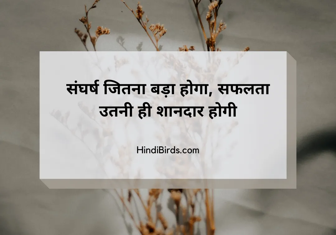 Struggle Motivational Quotes in Hindi